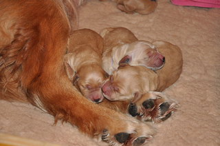 15976886150 f8100cd883 z