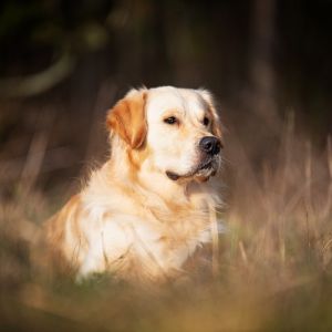 Chill&nbsp;(m) am 28.12.2018