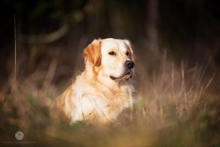 Chill&nbsp;(m) am 28.12.2018