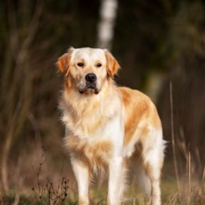 Chill&nbsp;(m) am 28.12.2018