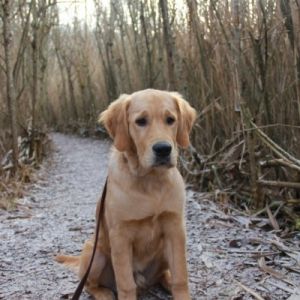 Juri&nbsp;(Flash, m) am 23.01.2019