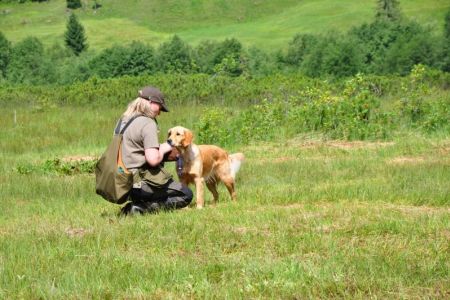 Fly am 30.07.2019 beim Dummytraining im Bregenzerwald