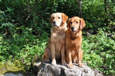 Fly und Aileen am 01.08.2019 im Bregenzerwald