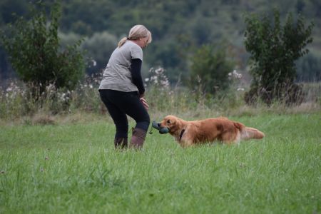 Mit Fly am Wesens- und Anlagetest des RCS in Frauenfeld&nbsp;am 06.09.2020