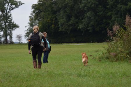 Mit Fly am Wesens- und Anlagetest des RCS in Frauenfeld&nbsp;am 06.09.2020