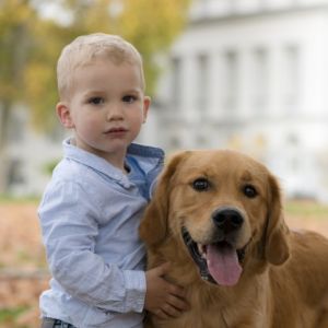 Levi und Marley in Wolken (D)&nbsp;am 11.11.2020